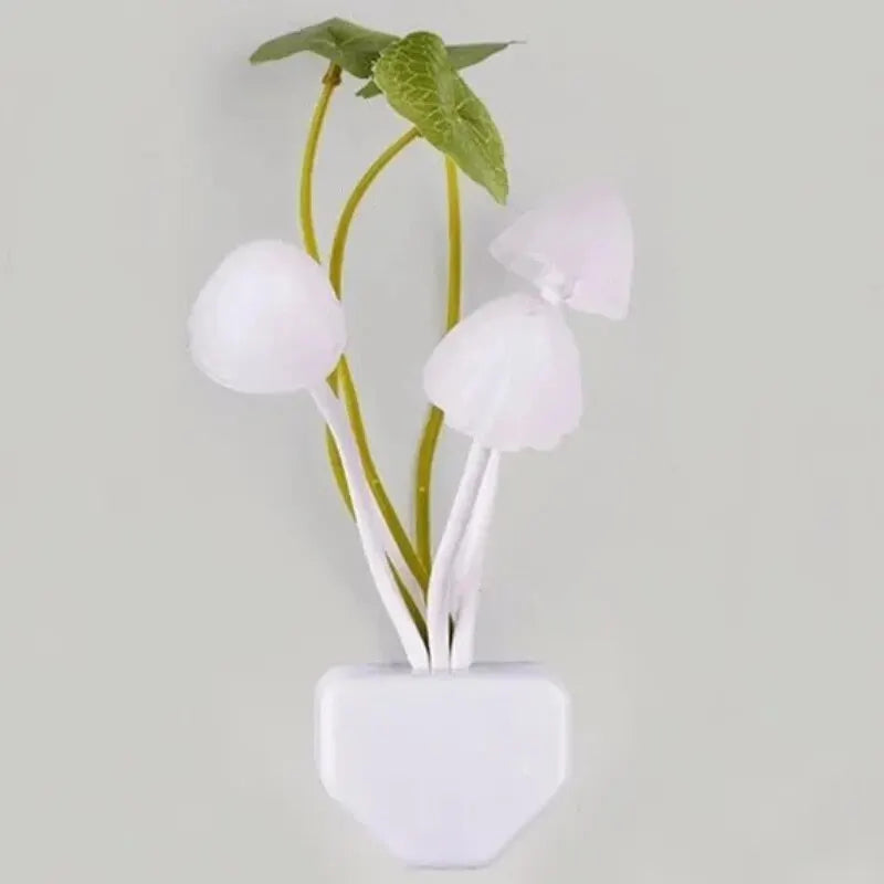 Novelty Mushroom Fungus