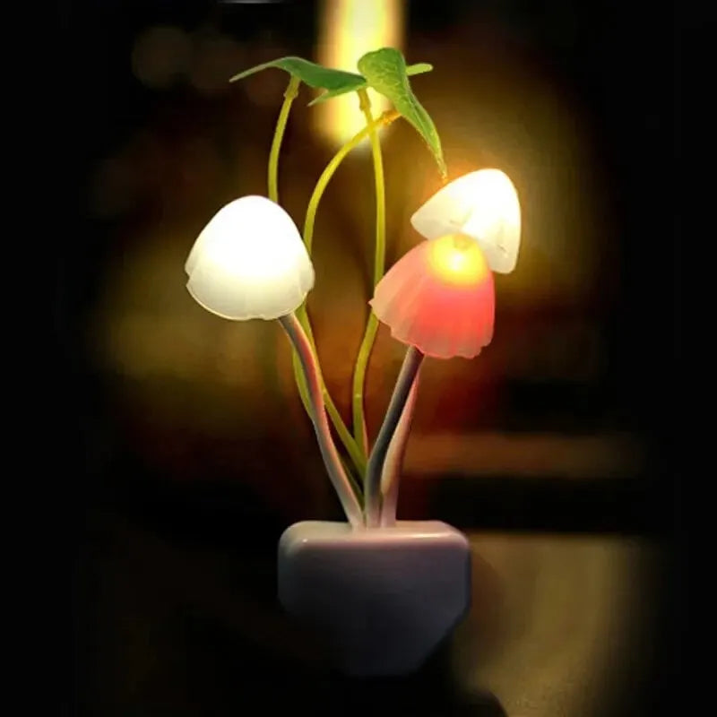 Novelty Mushroom Fungus