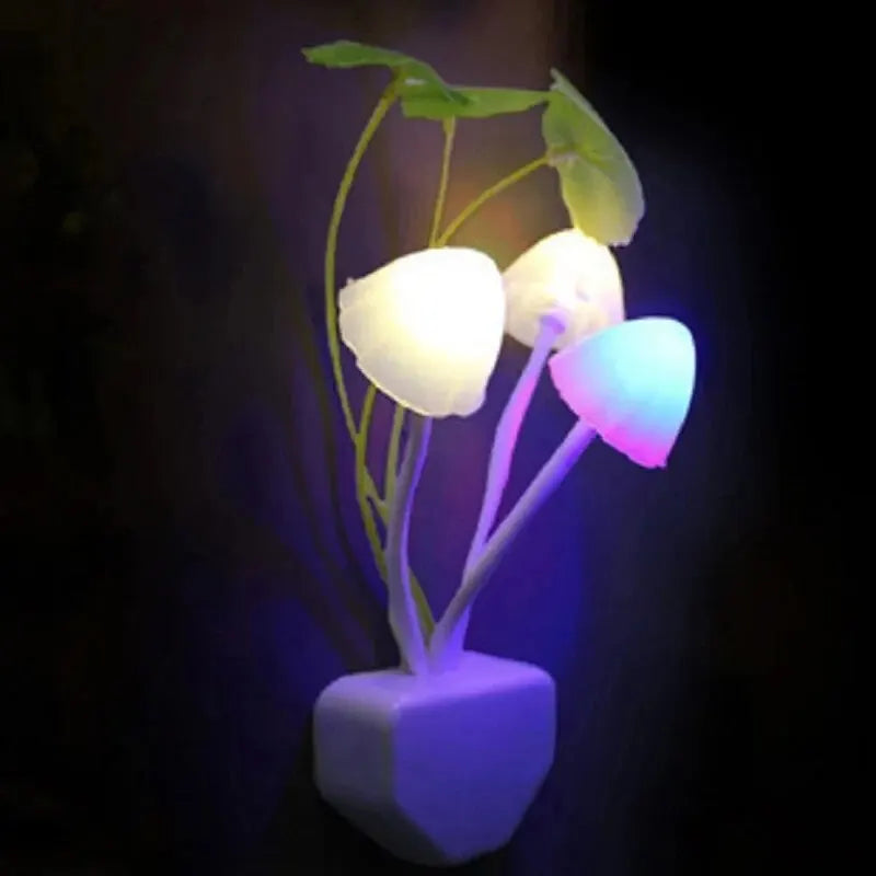 Novelty Mushroom Fungus