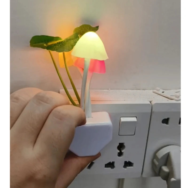 Novelty Mushroom Fungus
